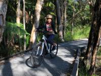 Family cycling in northern NSW |  <i>Brad Atwal</i>