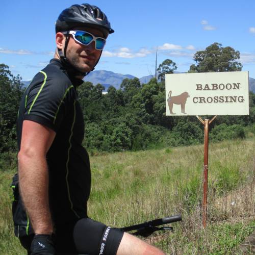 Baboon Crossing whilst cycling in South Africa
