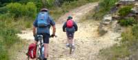 Blue Mountains Australia Mountain Cycling | DL