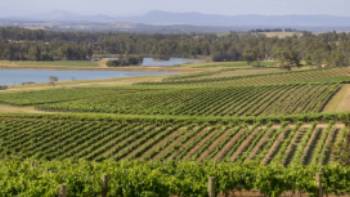 Scenic view of Audrey Wilkinson Vineyard, Pokolbin | Destination NSW
