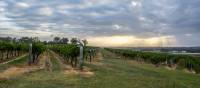 Hang out with the locals at Hermitage Road Cellars | Destination NSW