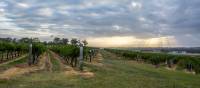 Hang out with the locals at Hermitage Road Cellars | Destination NSW