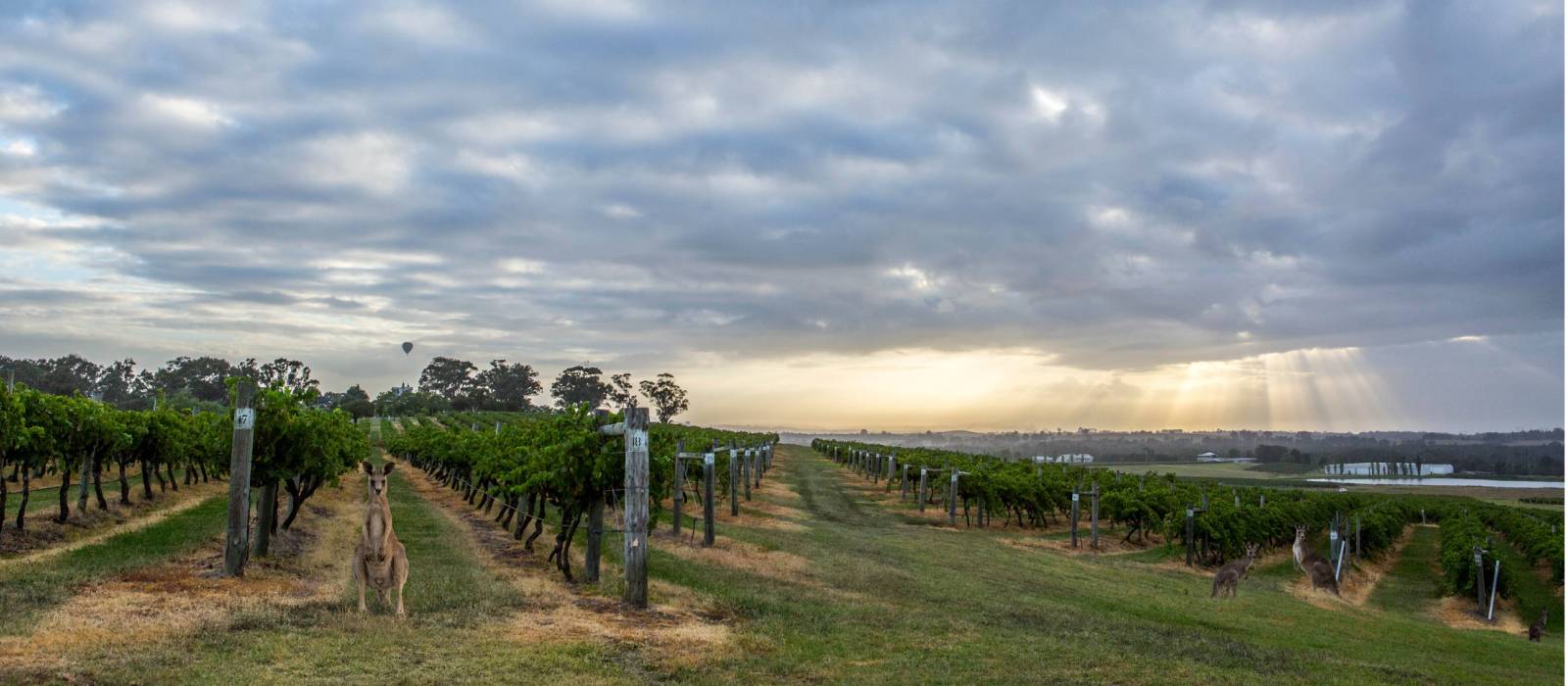 Hang out with the locals at Hermitage Road Cellars | Destination NSW