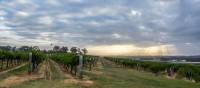 Hang out with the locals at Hermitage Road Cellars | Destination NSW