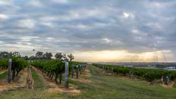 Hang out with the locals at Hermitage Road Cellars | Destination NSW