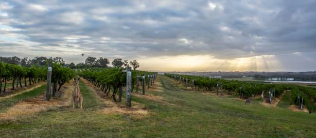 Hang out with the locals at Hermitage Road Cellars |  <i>Destination NSW</i>