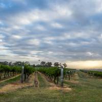 Hang out with the locals at Hermitage Road Cellars | Destination NSW