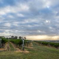Hang out with the locals at Hermitage Road Cellars | Destination NSW