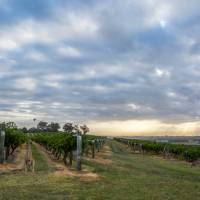 Hang out with the locals at Hermitage Road Cellars | Destination NSW