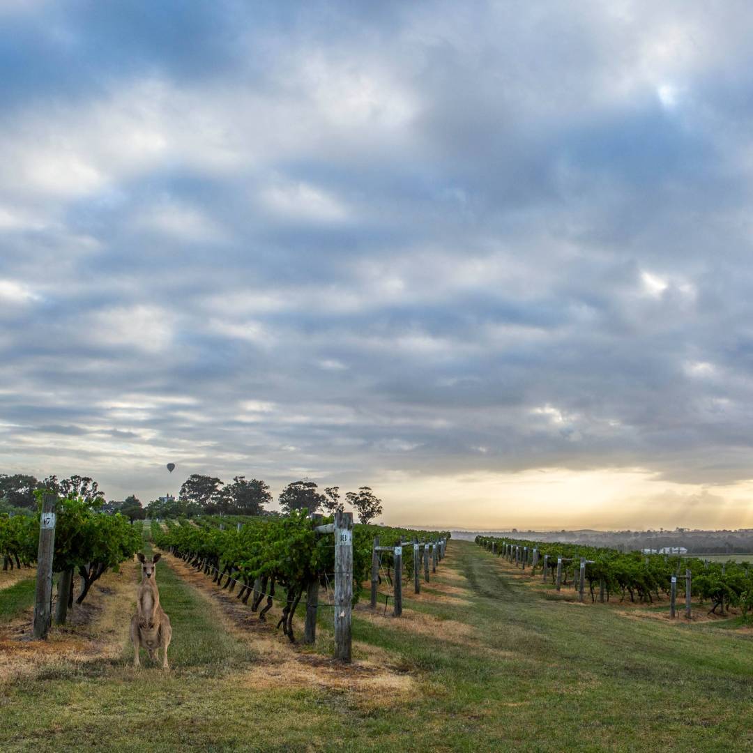 Hang out with the locals at Hermitage Road Cellars | Destination NSW