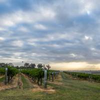 Hang out with the locals at Hermitage Road Cellars | Destination NSW