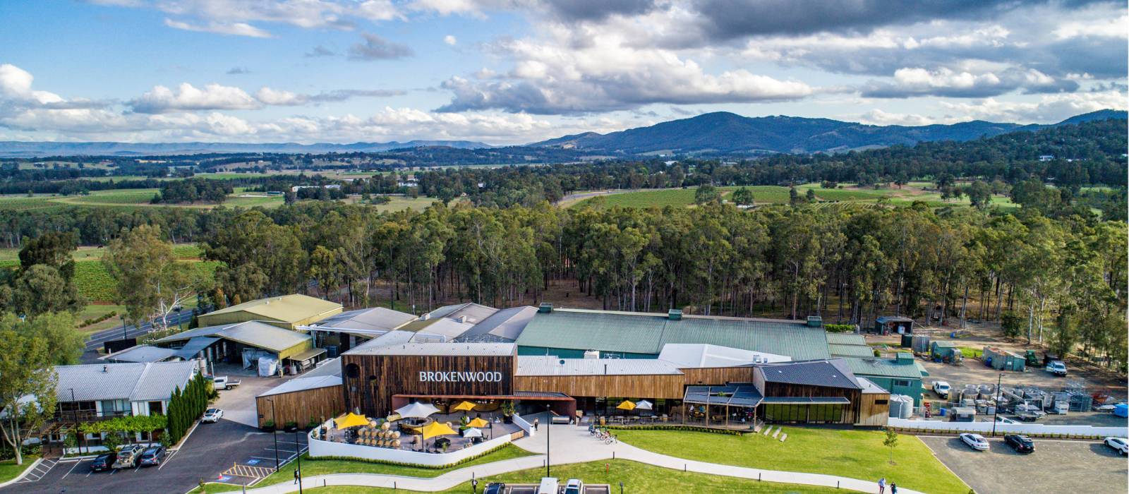 Overlooking the Brokenwood Wines estate in Pokolbin | Destination NSW