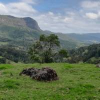 Beautiful scenery on our Northern Rivers trip. | Shawn Flannery