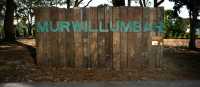 Visit Murwillumbah on the Northern Rivers Rail Trail