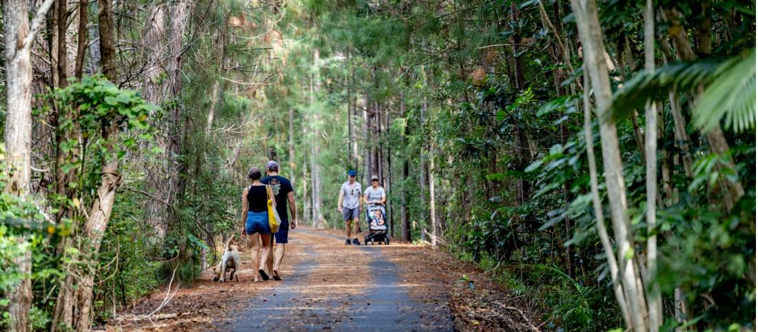 Discover the Tweed and the Northern Rivers Rail Trail
