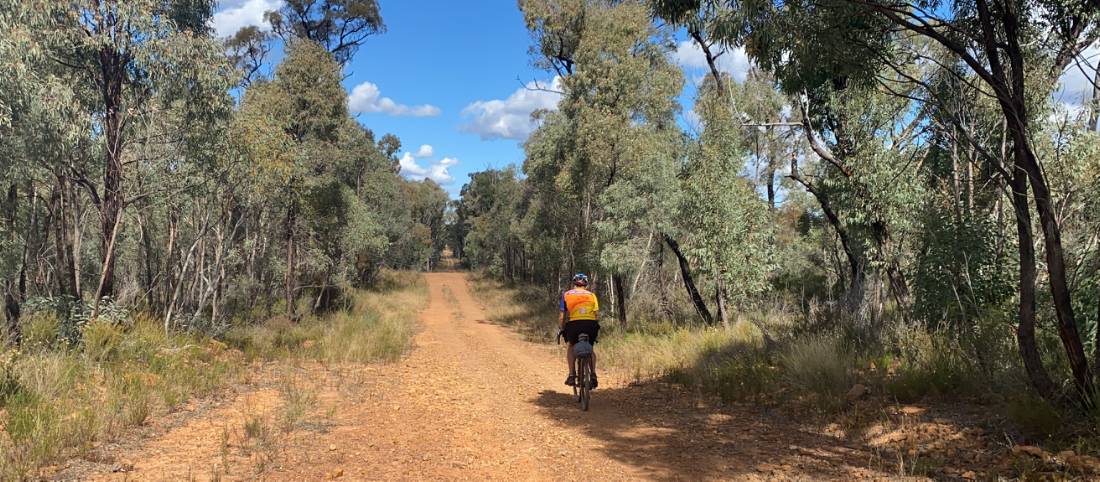 A dirt stretch on the route between Mendooran and Ballimore. |  <i>Michele Eckersley</i>