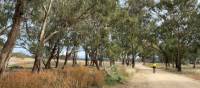 A quiet unpaved route between Mendooran and Dunedoo | Michele Eckersley