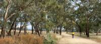 A quiet unpaved route between Mendooran and Dunedoo | Michele Eckersley