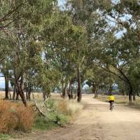 A quiet unpaved route between Mendooran and Dunedoo | Michele Eckersley