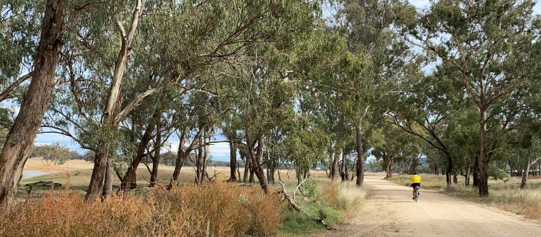 A quiet unpaved route between Mendooran and Dunedoo |  <i>Michele Eckersley</i>