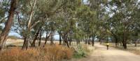 A quiet unpaved route between Mendooran and Dunedoo | Michele Eckersley