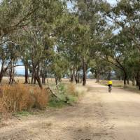 A quiet unpaved route between Mendooran and Dunedoo | Michele Eckersley