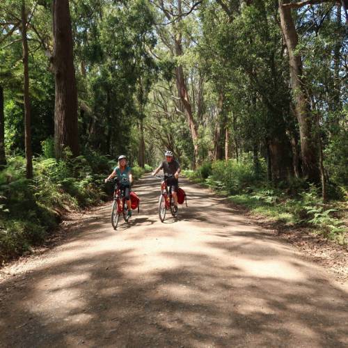 National Cycle Route New Forest Road Cycle Paths New Forest Burley