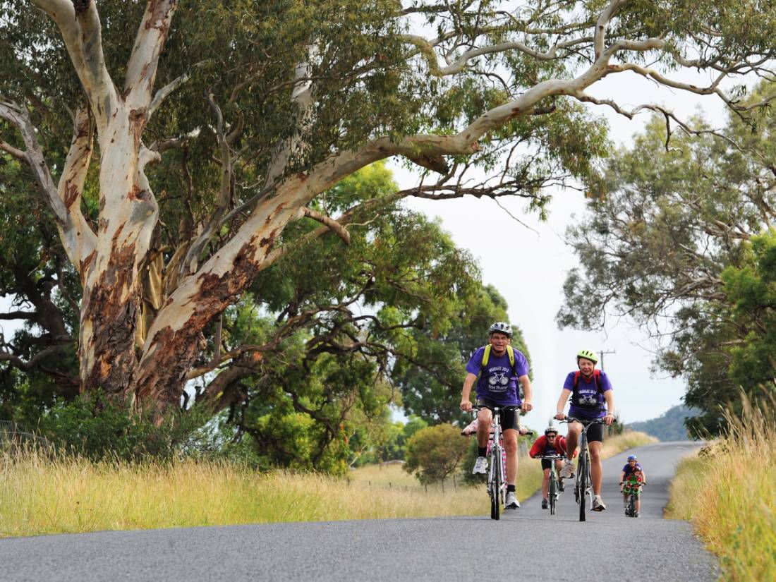 Cycling through the rural landscapes near Mudgee |  <i>Mudgee Region Tourism</i>