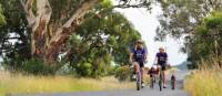 Cycling through the rural landscapes near Mudgee | Mudgee Region Tourism