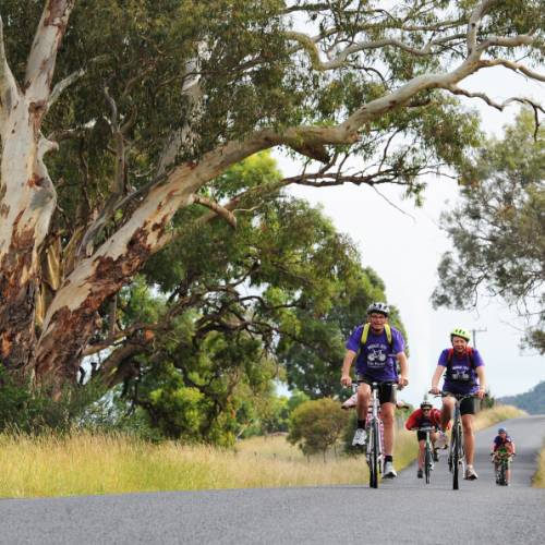 cycling tour hunter valley
