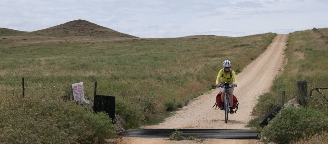 Cattle grids feature on the route to Bombala while cycling between Kosi and the Sea | <i>Ross Baker</i>