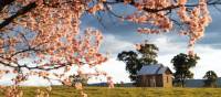 Cycle past beautiful rural landscapes near Mudgee | Mudgee Region Tourism