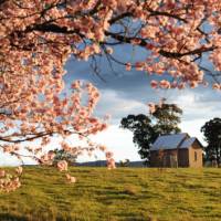 Cycle past beautiful rural landscapes near Mudgee | Mudgee Region Tourism