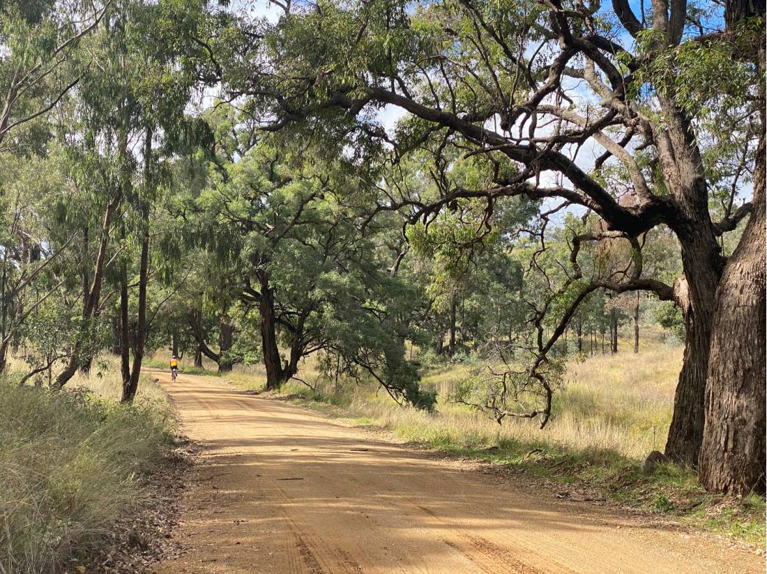 Classic scenery on the CWC between Goolma and Wellington |  <i>Michele Eckersley</i>