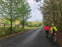 Country lanes are part of the diverse cycle landscape on the South Coast Cycle |  <i>Kate Baker</i>