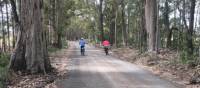 Country lanes on the South Coast Cycle | Kate Baker