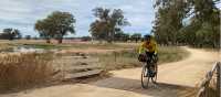 Crossing a small bridge on the route between Mendooran and Dunedoo | Michele Eckersley