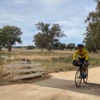 Crossing a small bridge on the route between Mendooran and Dunedoo | Michele Eckersley
