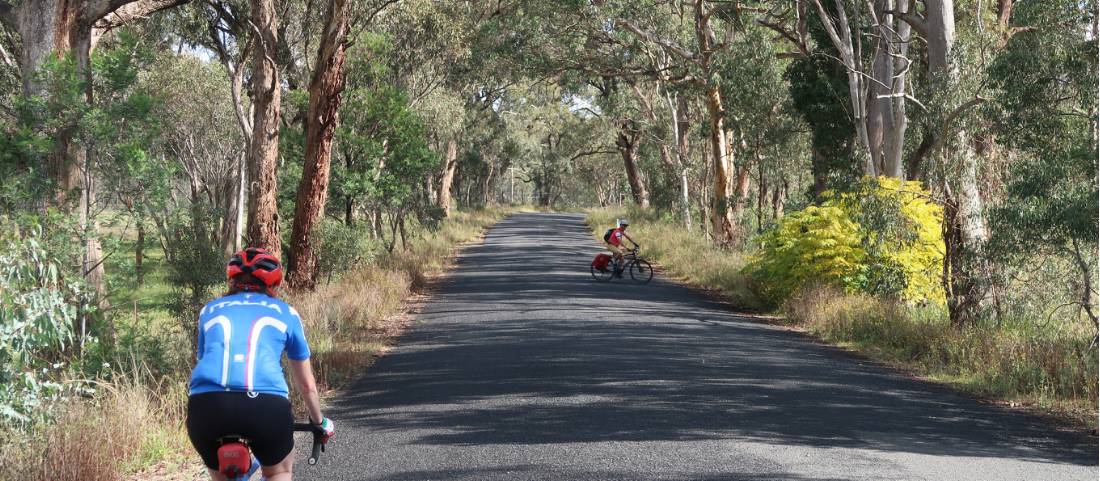 Cycling along a shaded road on the Capertee Valley Cycle |  <i>Ross Baker</i>