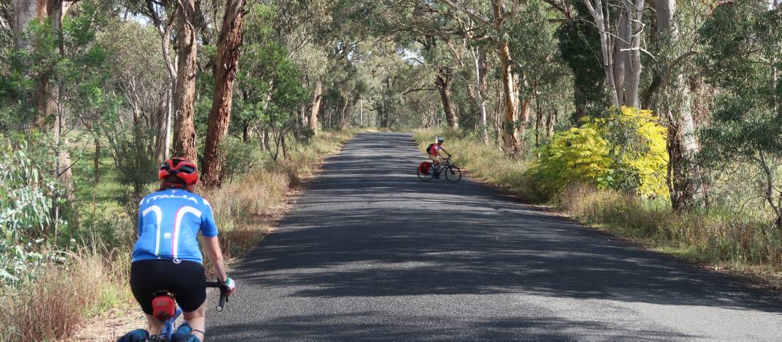 Cycling along a shaded road on the Capertee Valley Cycle |  <i>Ross Baker</i>