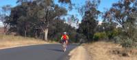 Cycling an e-bike on the CWC out of Gulgong | Michele Eckersley