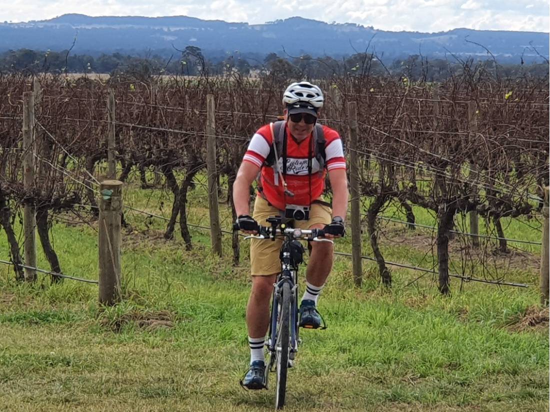 Cycling between the vines enroute to Gulgong CWCR |  <i>Ross Baker</i>