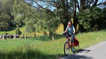 Cycling past fields with cows grazing in the Southern Highlands | Kate Baker