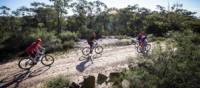 Explore one of the many cycle trails of the Blue Mountains | Sam Carr