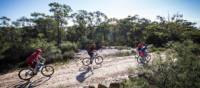 Explore one of the many cycle trails of the Blue Mountains | Sam Carr