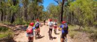 Explore one of the many cycle trails of the Blue Mountains | Sam Carr