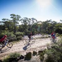 Explore one of the many cycle trails of the Blue Mountains | Sam Carr