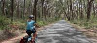 Cycling the quiet route to Robertson | Kate Baker