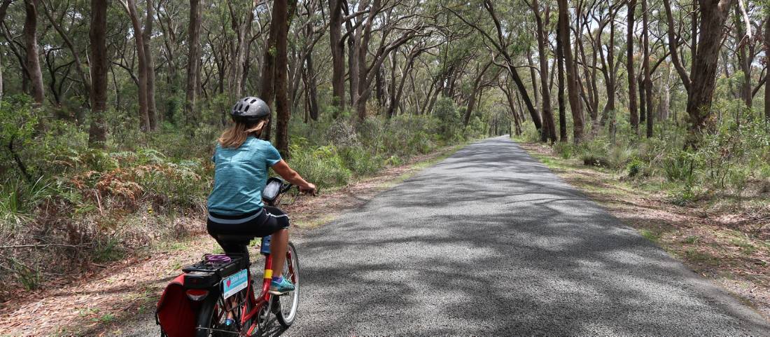 Cycling the quiet route to Robertson |  <i>Kate Baker</i>
