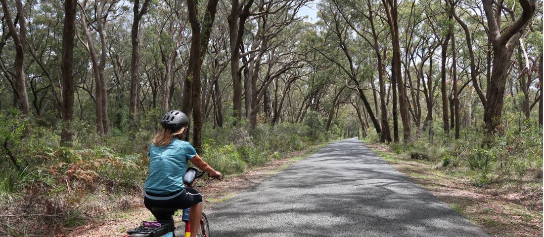 Cycling the quiet route to Robertson |  <i>Kate Baker</i>
